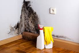 Why You Should Choose Our Mold Remediation Services in Coker, AL